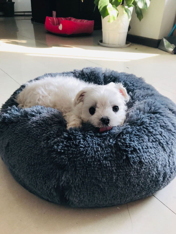 Fluffy Pet Bed